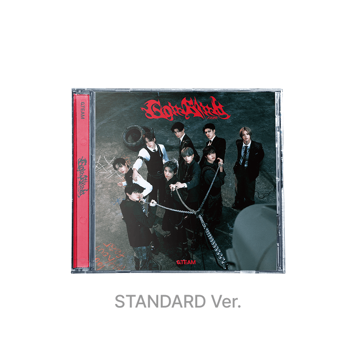 &TEAM - Go In Blind - Japan 3rd single album