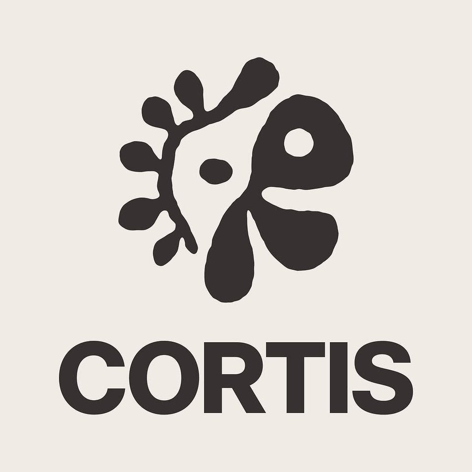 [PC] CORTIS