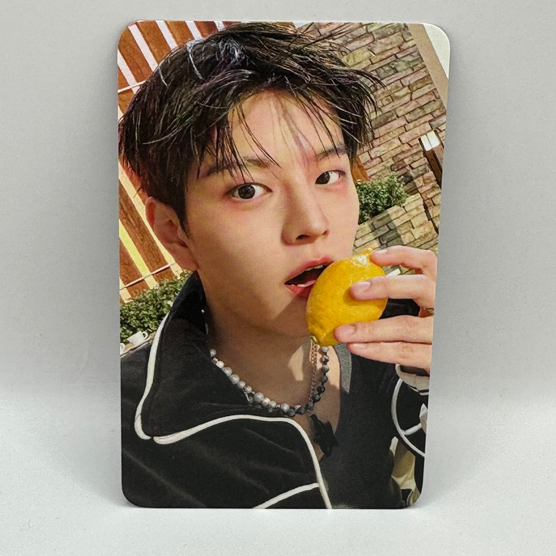 [PC] STRAY KIDS