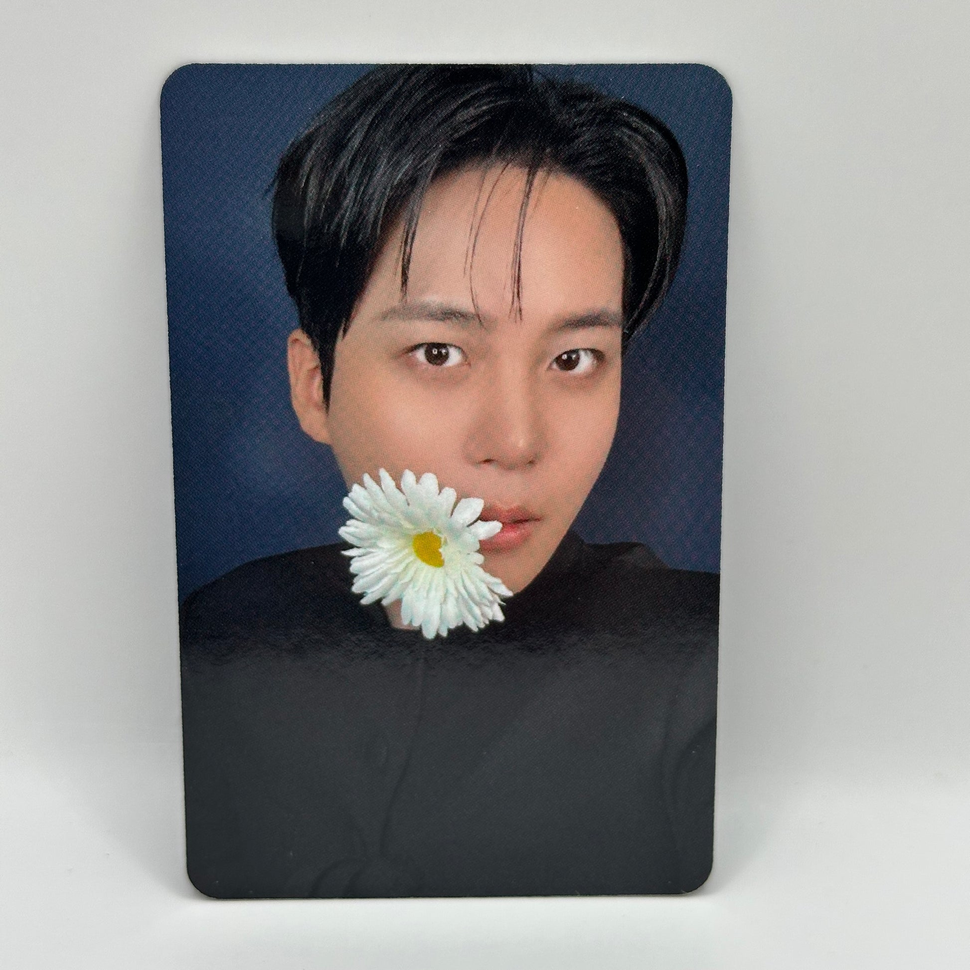 [PC] ATEEZ