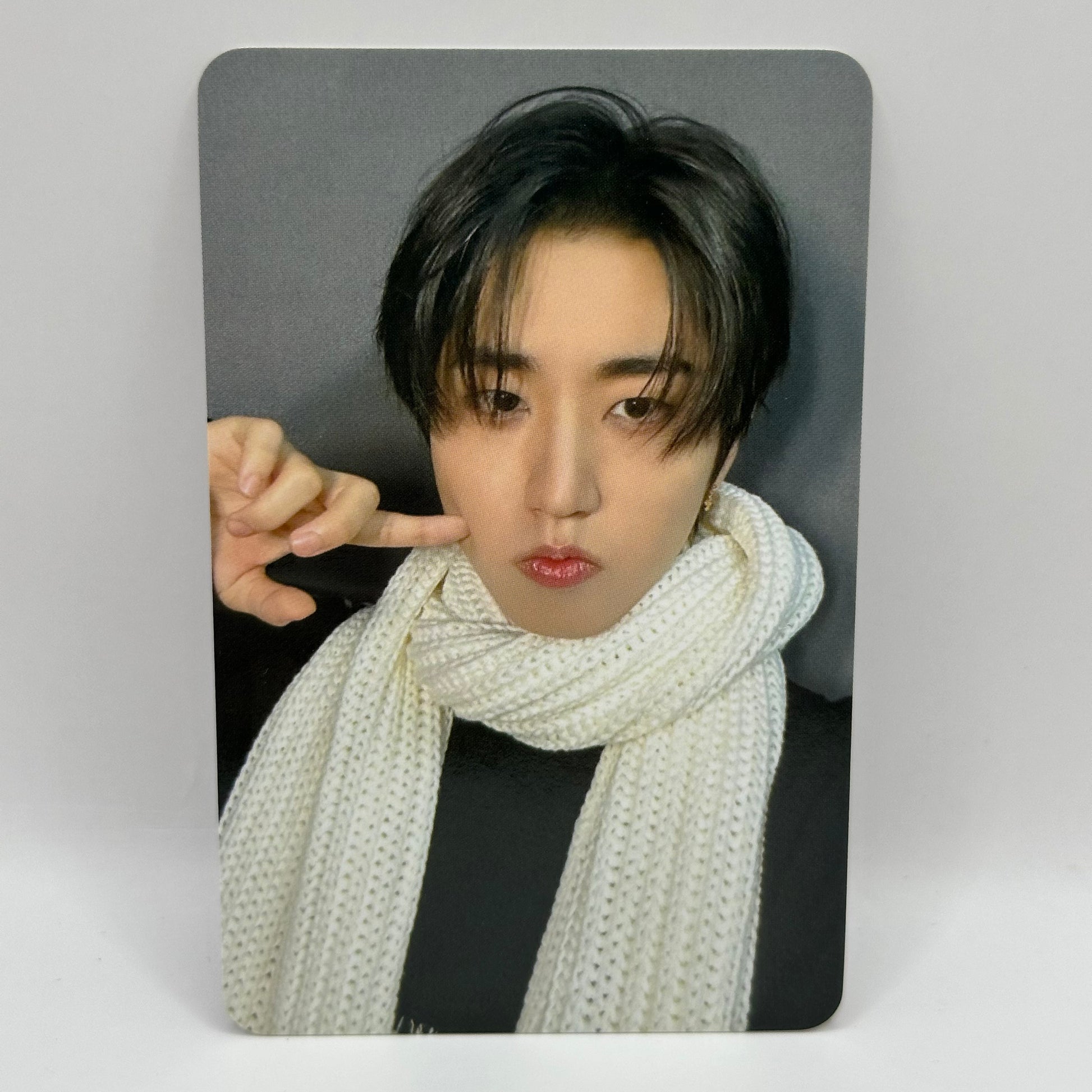 [PC] STRAY KIDS