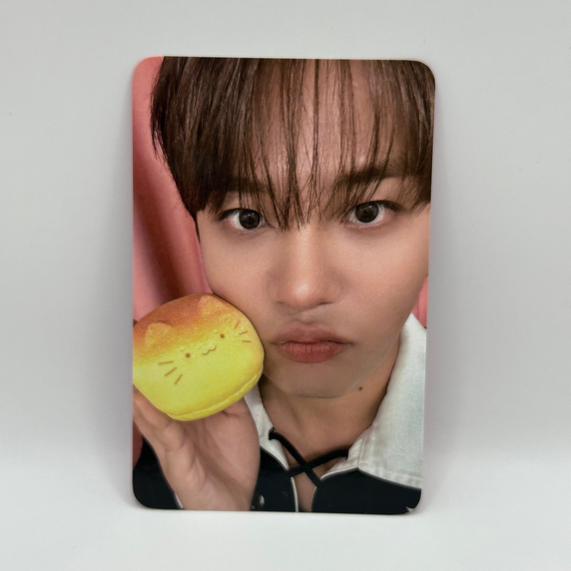 [PC] ATEEZ