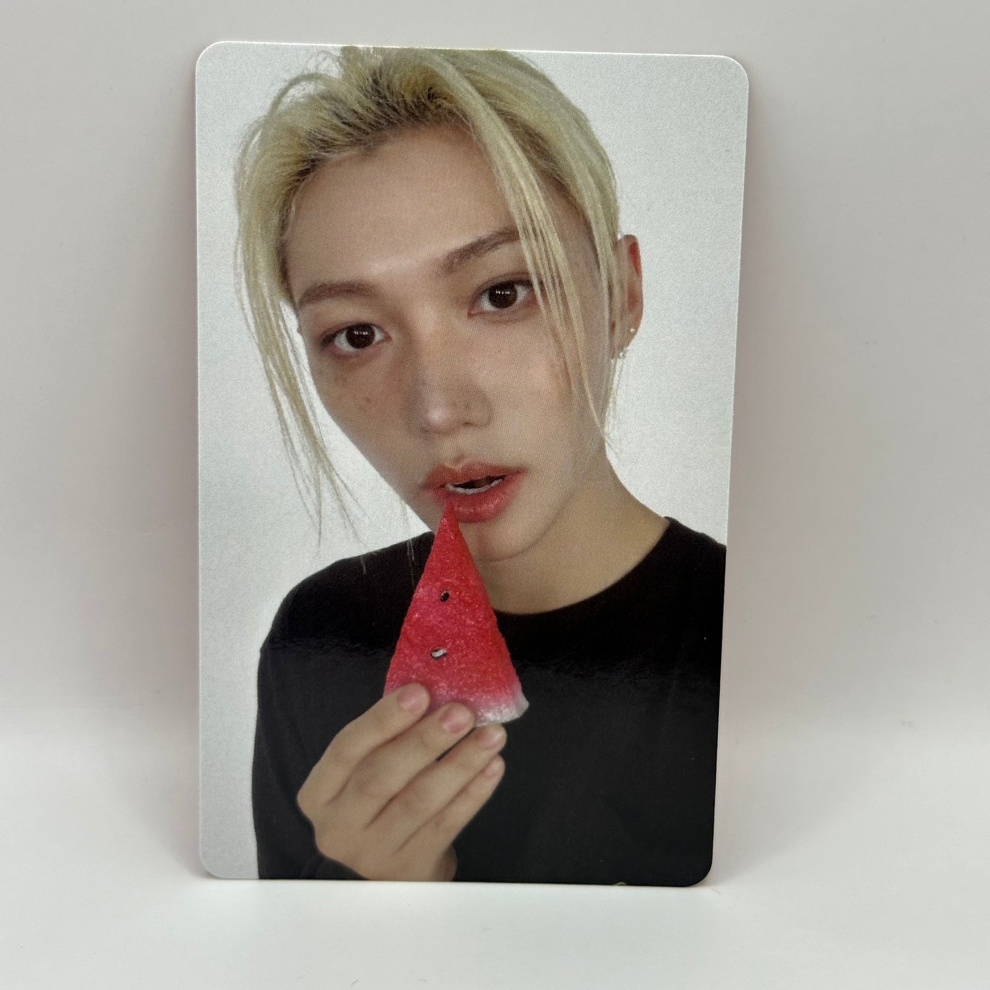 [PC] STRAY KIDS