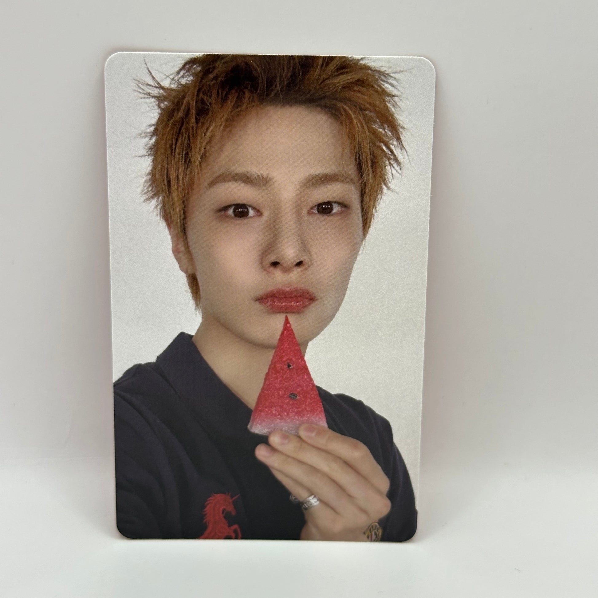 [PC] STRAY KIDS