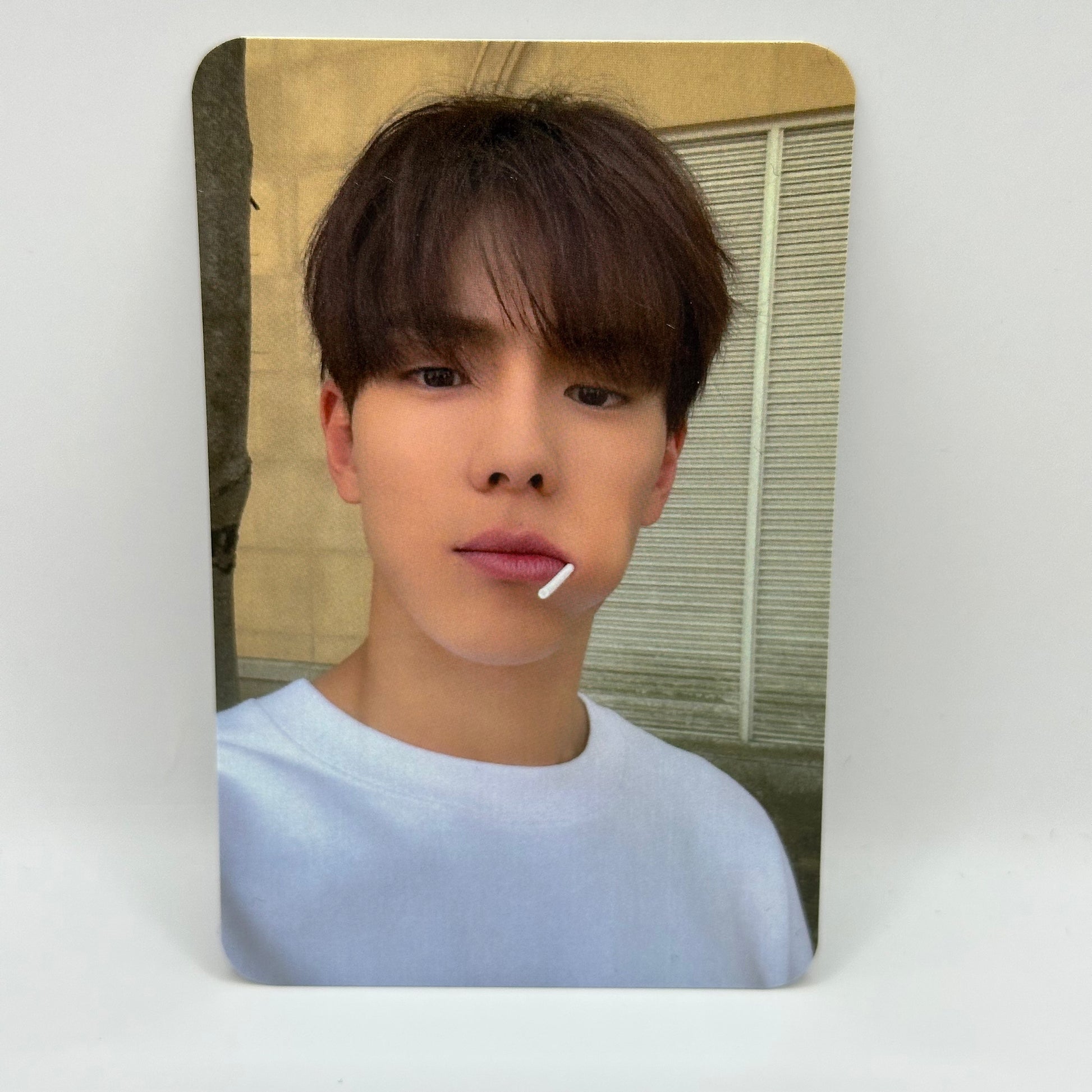 [PC] MONSTA X