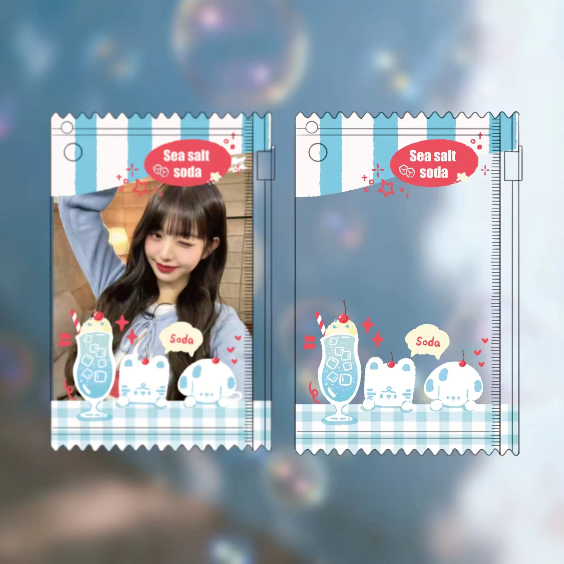 Photocard Holders - Medium Zipper Pouch PVC