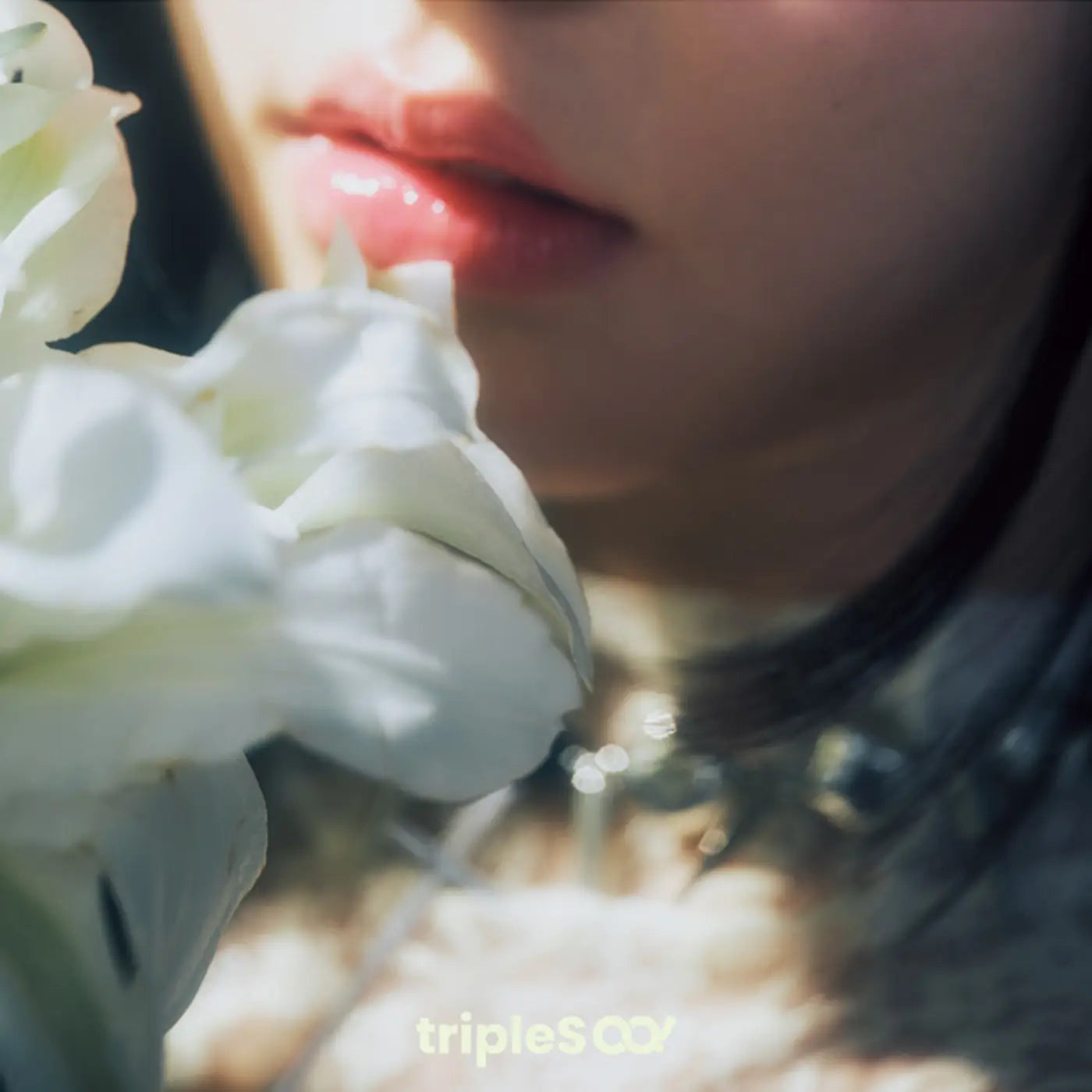 TRIPLES HACCHI! - Untitled - Japan 1st album